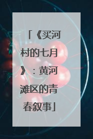 《买河村的七月》：黄河滩区的青春叙事