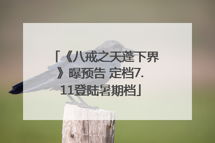 《八戒之天蓬下界》曝预告 定档7.11登陆暑期档