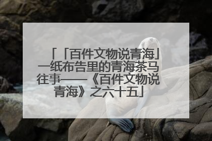 「百件文物说青海」一纸布告里的青海茶马往事——《百件文物说青海》之六十五