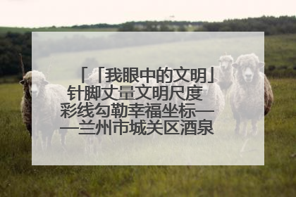 「我眼中的文明」针脚丈量文明尺度 彩线勾勒幸福坐标——兰州市城关区酒泉路街道办事处