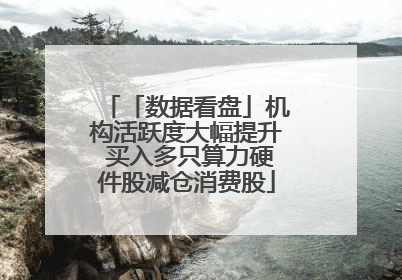 「数据看盘」机构活跃度大幅提升 买入多只算力硬件股减仓消费股