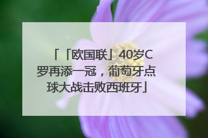 「欧国联」40岁C罗再添一冠，葡萄牙点球大战击败西班牙