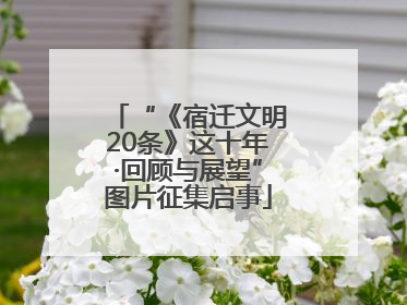 “《宿迁文明20条》这十年·回顾与展望”图片征集启事
