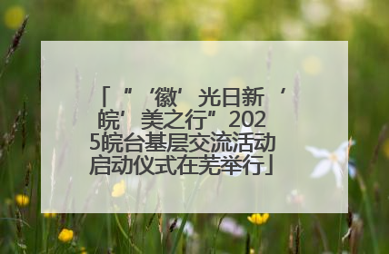 “‘徽’光日新‘皖’美之行”2025皖台基层交流活动启动仪式在芜举行