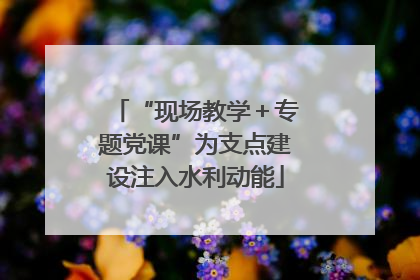 “现场教学＋专题党课”为支点建设注入水利动能