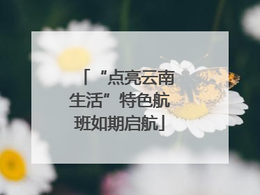 “点亮云南生活”特色航班如期启航
