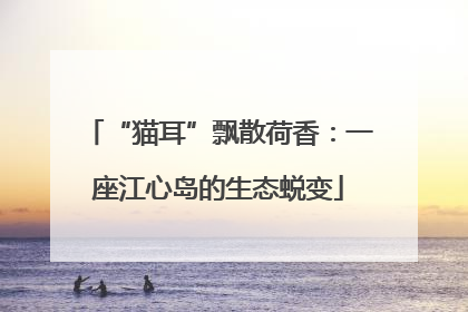 “猫耳”飘散荷香：一座江心岛的生态蜕变