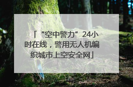 “空中警力”24小时在线，警用无人机编织城市上空安全网