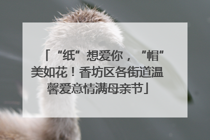 “纸”想爱你，“帽”美如花！香坊区各街道温馨爱意情满母亲节