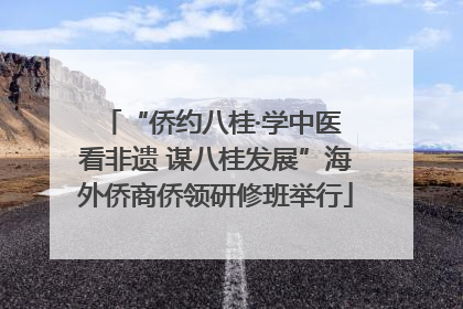 “侨约八桂·学中医 看非遗 谋八桂发展”海外侨商侨领研修班举行