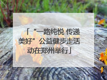“一路纯悦 传递美好”公益健步走活动在郑州举行