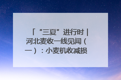 “三夏”进行时｜河北麦收一线见闻（一）：小麦机收减损“竞技” 农机高手麦田“过招”