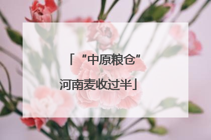 “中原粮仓”河南麦收过半