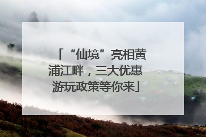 “仙境”亮相黄浦江畔，三大优惠游玩政策等你来
