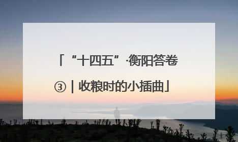 “十四五”·衡阳答卷③｜收粮时的小插曲