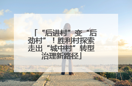 “后进村”变“后劲村”！胜利村探索走出“城中村”转型治理新路径