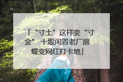 “寸土”这样变“寸金” 十堰闲置老厂房蝶变网红打卡地