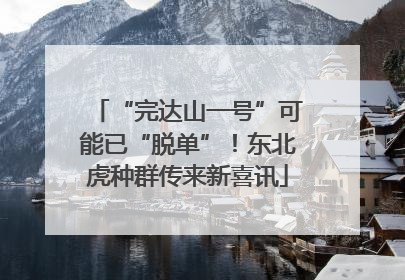 “完达山一号”可能已“脱单”！东北虎种群传来新喜讯
