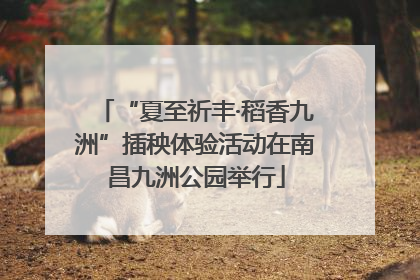 “夏至祈丰·稻香九洲”插秧体验活动在南昌九洲公园举行