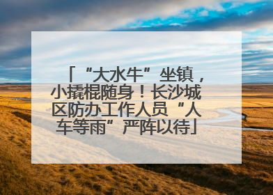 “大水牛”坐镇，小撬棍随身！长沙城区防办工作人员“人车等雨”严阵以待