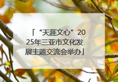 “天涯文心”2025年三亚市文化发展主题交流会举办