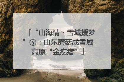 “山海情・雪域援梦”⑤：山东蘑菇成雪域高原“金疙瘩”