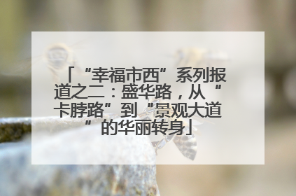 “幸福市西”系列报道之二：盛华路，从“卡脖路”到“景观大道”的华丽转身