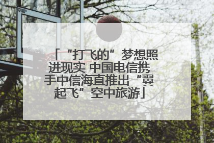 “打飞的”梦想照进现实 中国电信携手中信海直推出“翼起飞”空中旅游