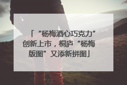 “杨梅酒心巧克力”创新上市，桐庐“杨梅版图”又添新拼图