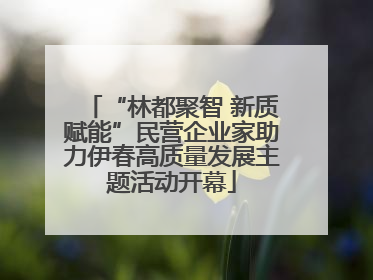 “林都聚智 新质赋能”民营企业家助力伊春高质量发展主题活动开幕