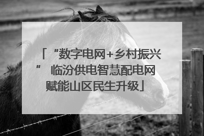 “数字电网+乡村振兴” 临汾供电智慧配电网赋能山区民生升级