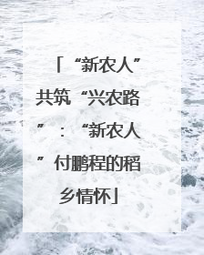 “新农人”共筑“兴农路”：“新农人”付鹏程的稻乡情怀