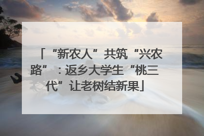 “新农人”共筑“兴农路”：返乡大学生“桃三代”让老树结新果
