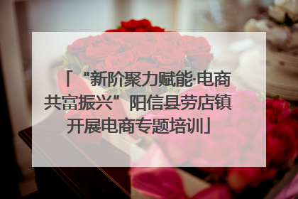 “新阶聚力赋能·电商共富振兴”阳信县劳店镇开展电商专题培训