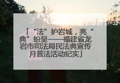“法”护岩城，亮“典”纷呈——福建省龙岩市司法局民法典宣传月普法活动纪实