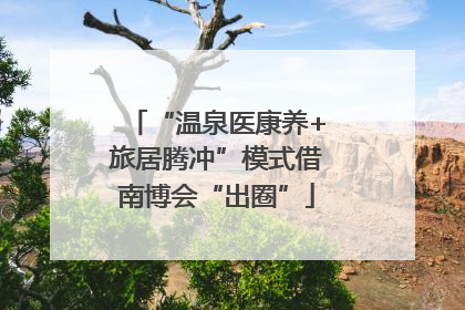 “温泉医康养+旅居腾冲”模式借南博会“出圈”