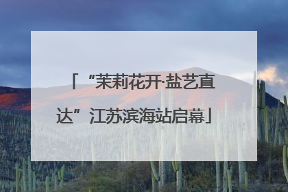 “茉莉花开·盐艺直达”江苏滨海站启幕