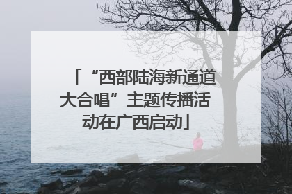 “西部陆海新通道大合唱”主题传播活动在广西启动