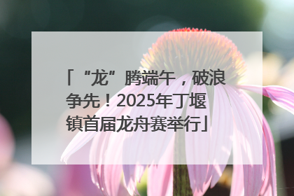 “龙”腾端午，破浪争先！2025年丁堰镇首届龙舟赛举行