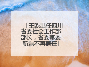 王乾出任四川省委社会工作部部长，省委常委靳磊不再兼任