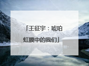 王征宇：琥珀虹膜中的我们