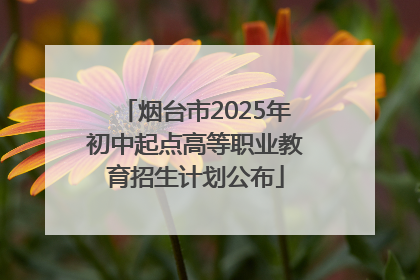 烟台市2025年初中起点高等职业教育招生计划公布