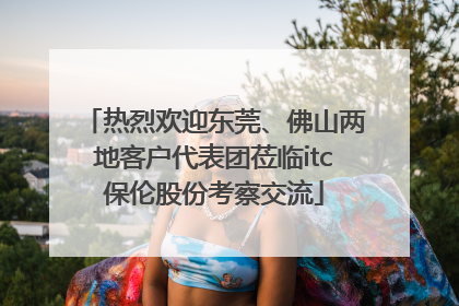 热烈欢迎东莞、佛山两地客户代表团莅临itc保伦股份考察交流