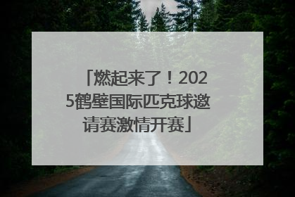 燃起来了！2025鹤壁国际匹克球邀请赛激情开赛