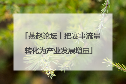 燕赵论坛丨把赛事流量转化为产业发展增量