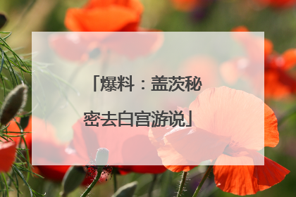 爆料：盖茨秘密去白宫游说