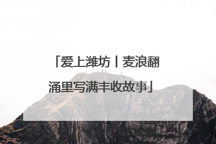 爱上潍坊丨麦浪翻涌里写满丰收故事
