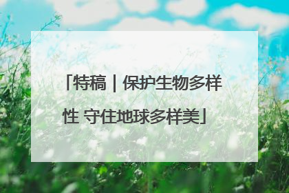特稿｜保护生物多样性 守住地球多样美