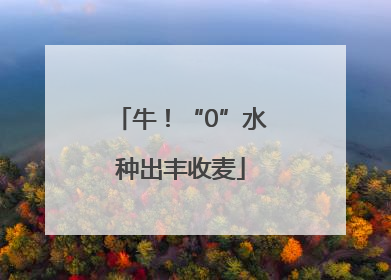 牛！“0”水种出丰收麦