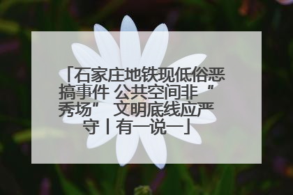 石家庄地铁现低俗恶搞事件 公共空间非“秀场” 文明底线应严守丨有一说一